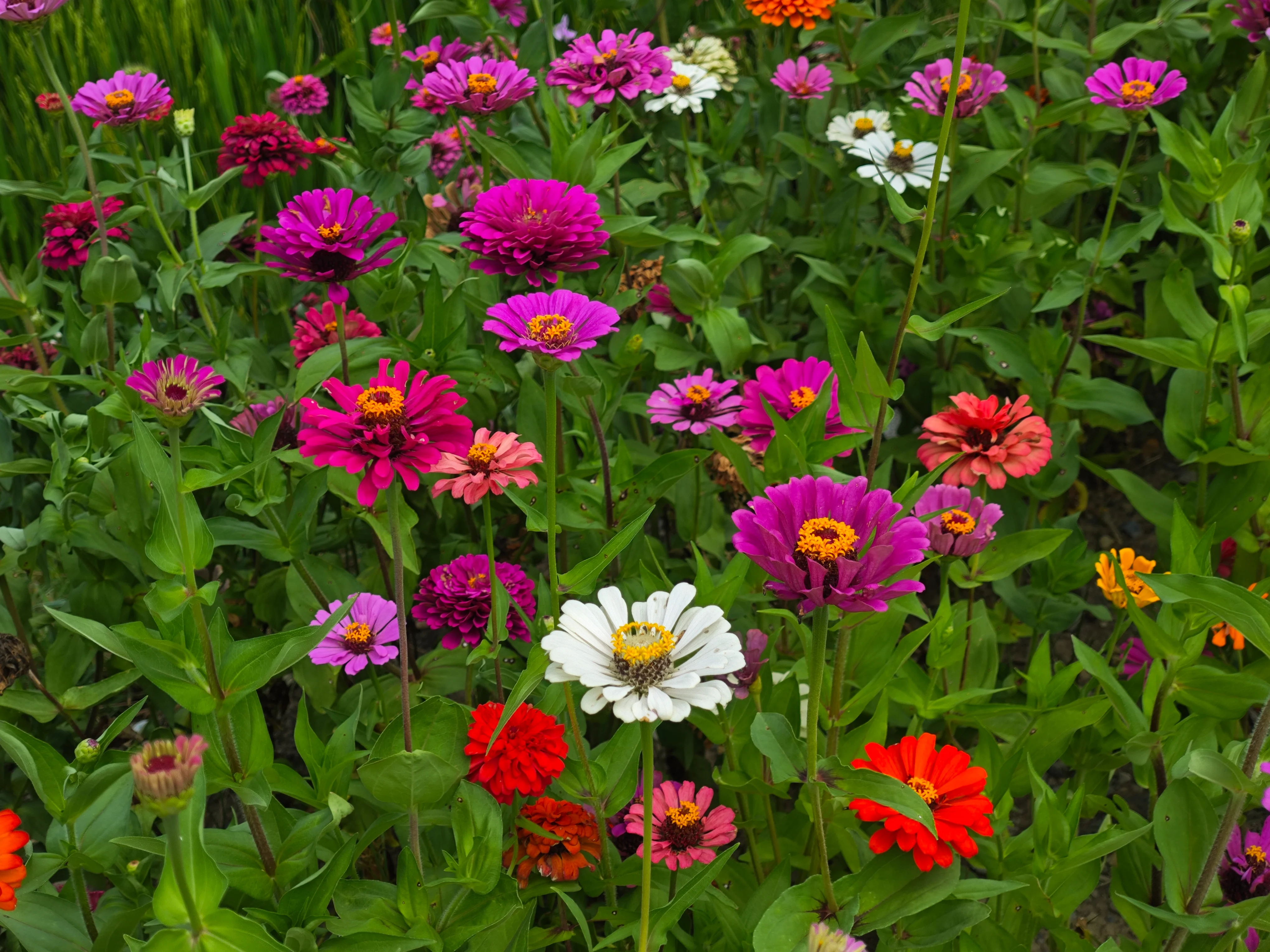 IMG_20250819_115116.webp