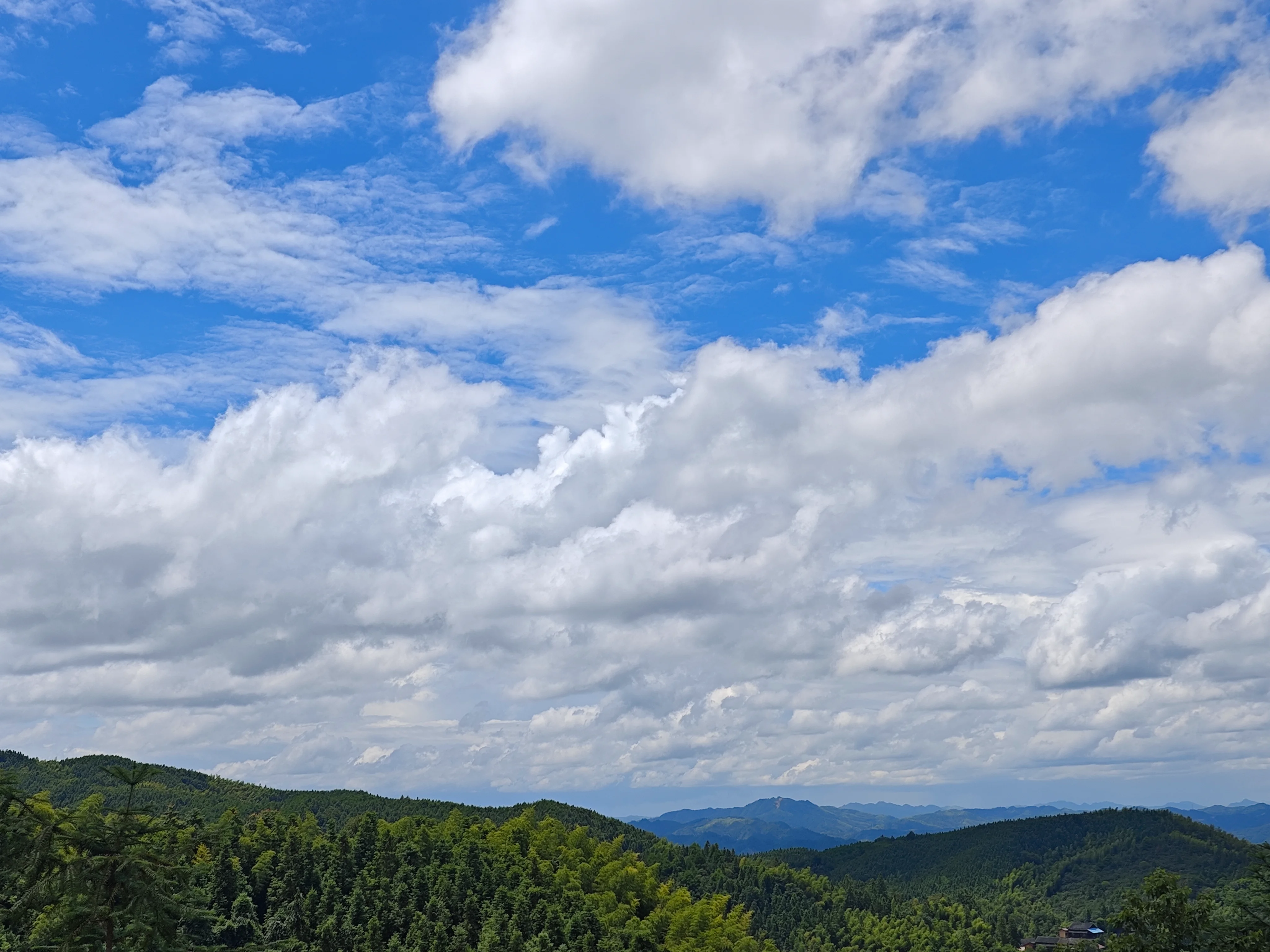 IMG_20250819_132123.webp