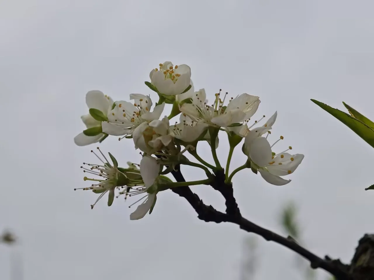 efb442d738f540c2fb646ec1848adfc4_720.jpg