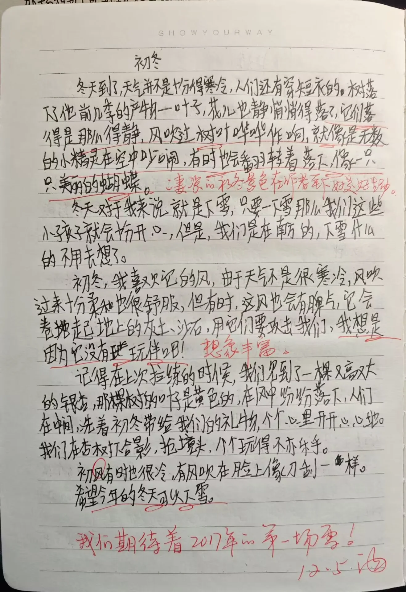 初冬物语:聆听季节更迭的细语