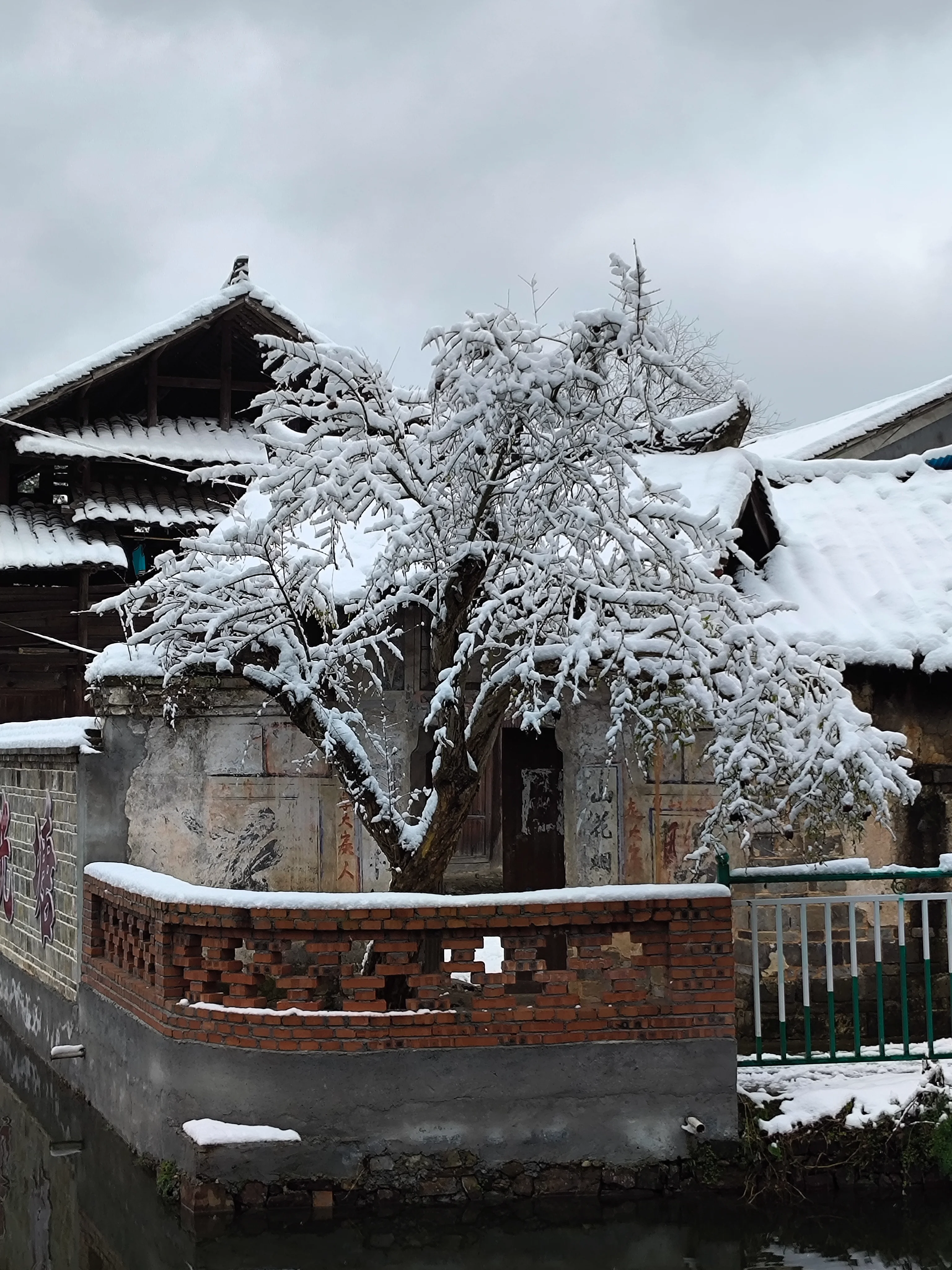 雪