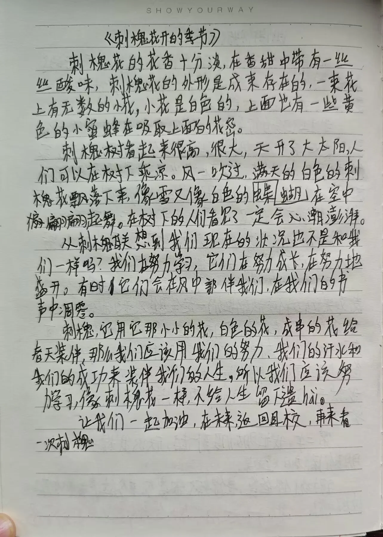 刺槐花开的季节——来自博主初中毕业季