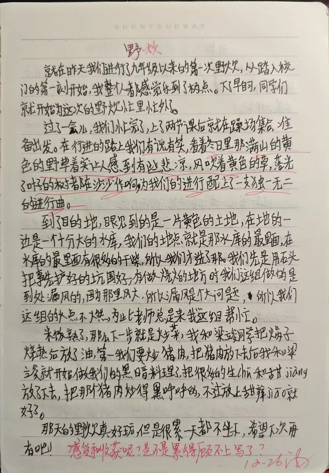 野炊时光:在大自然中品味生活